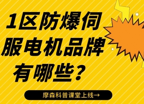 1區(qū)防爆伺服電機(jī)品牌有哪些？