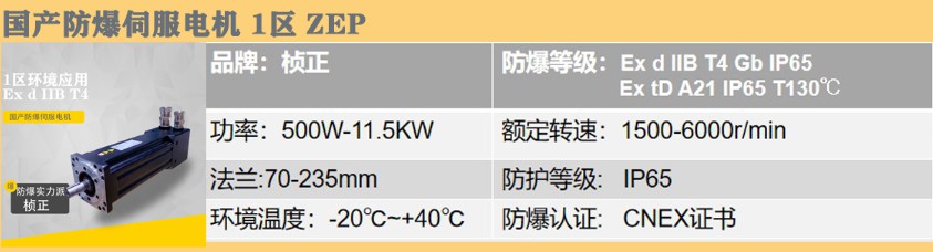 1區(qū)防爆伺服電機楨正.jpg